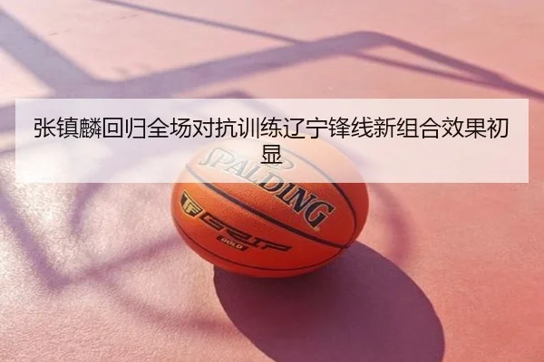 张镇麟回归全场对抗训练辽宁锋线新组合效果初显